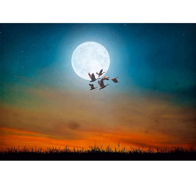 Fotomurali natura cielo notturno con stormo - TenStickers