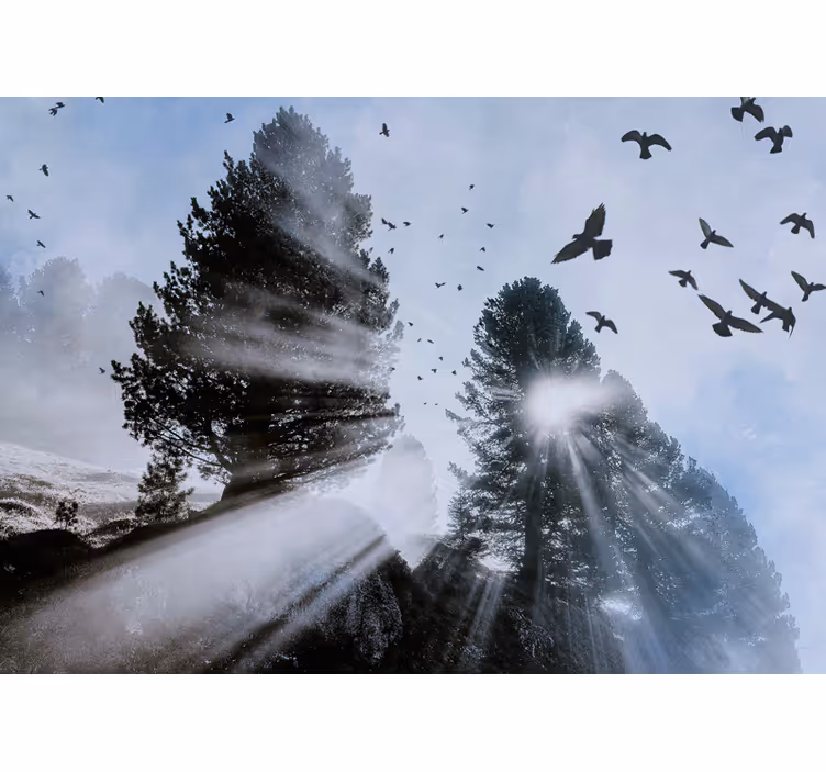 Fotomurale foresta raggi di sole radianti con uccelli - TenStickers