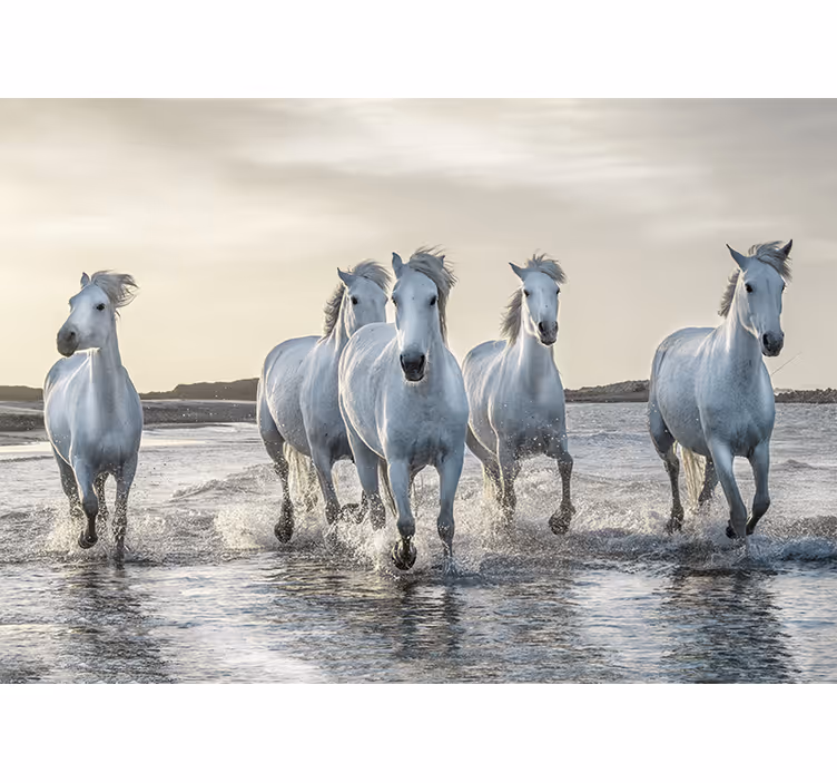 Fotomurale con differenti animali cavalli bianchi e marroni che c - TenStickers