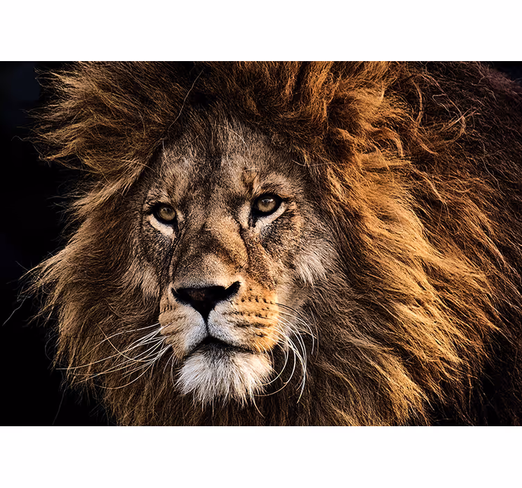 Fotomurali leone opera d'arte leone maestoso - TenStickers