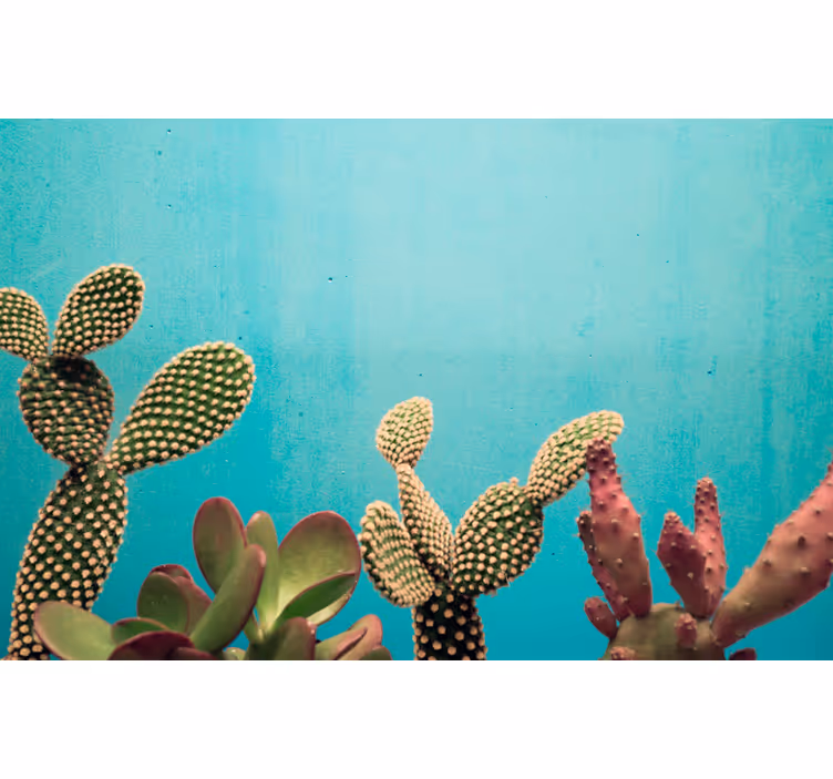 Fotomurale fiori diversi Piante di cactus parete blu - TenStickers