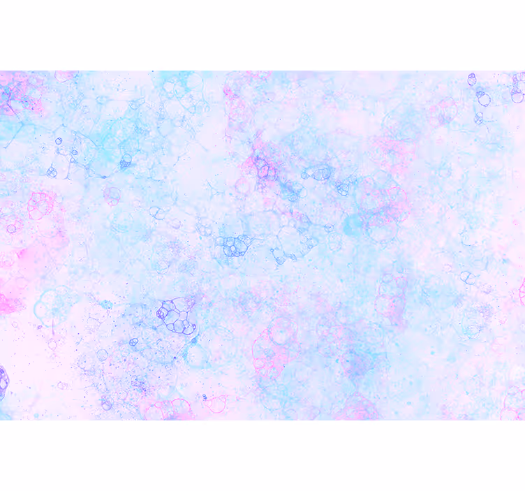 Adesivi murali 3d grandi bolle rosa e blu - TenStickers