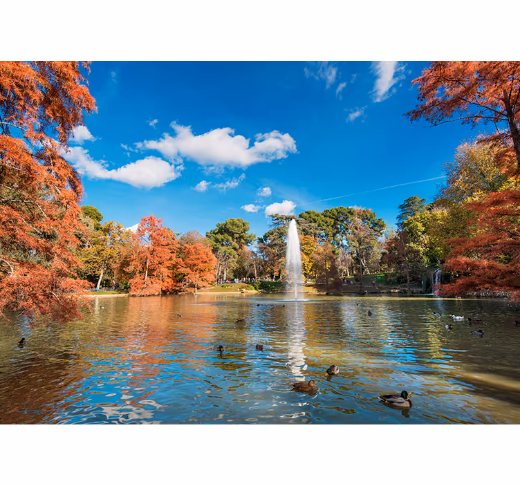 Fotomurale lago scena del lago autunnale - TenStickers