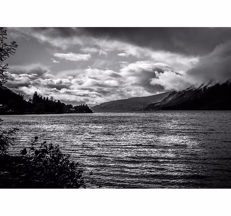 Fotomurale paesaggi vista lago monocromatica - TenStickers
