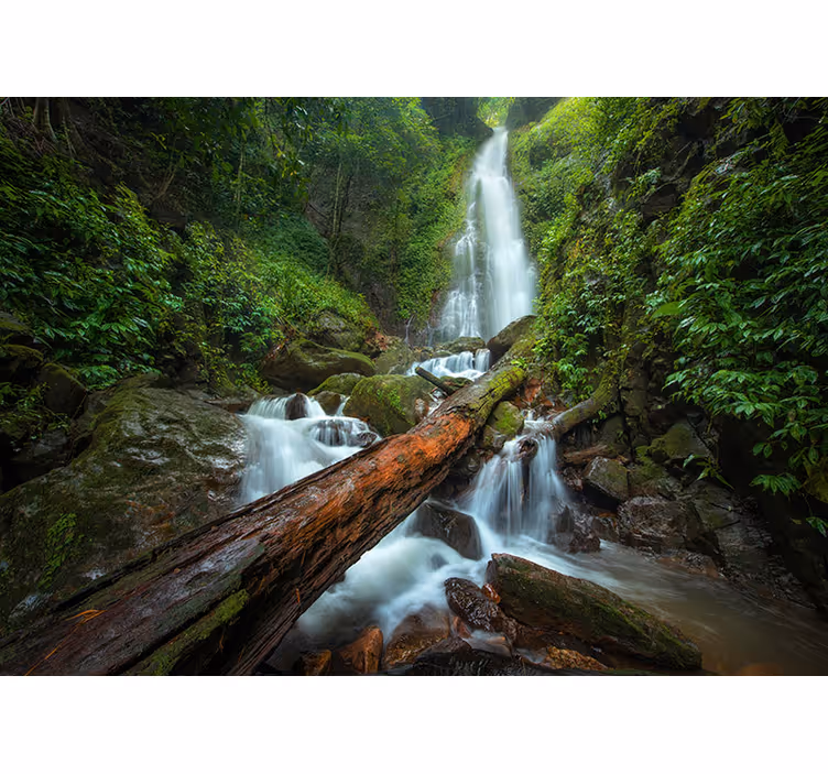 Fotomurali cascate cascata serena della cascata - TenStickers