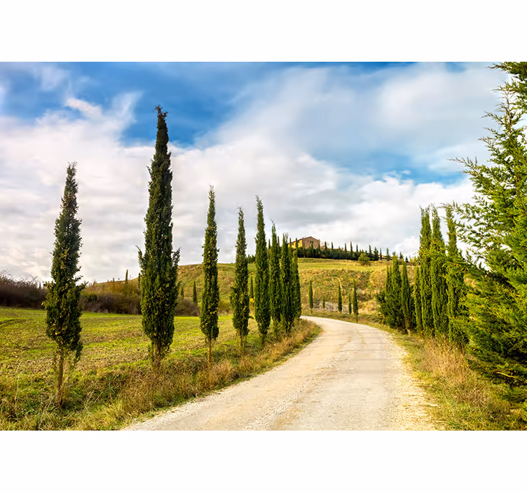 Fotomurali natura vista della campagna toscana - TenStickers