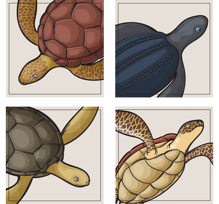 Sottobicchieri nerd illustrazioni di tartarughe colorate - TenStickers