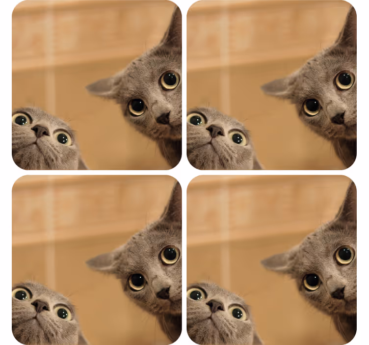 Sottobicchieri nerd facce di gatti curiosi - TenStickers