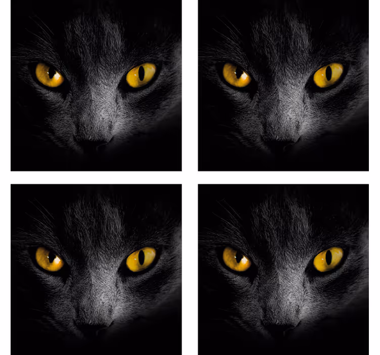 Gatto nero halloween sottobicchiere - TenStickers