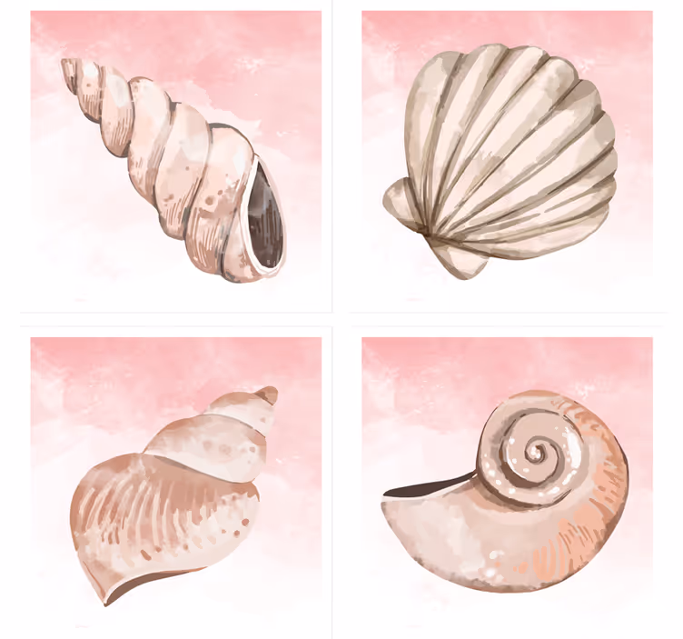 Sottobicchieri moderno con conchiglie e spruzzi rosa - TenStickers