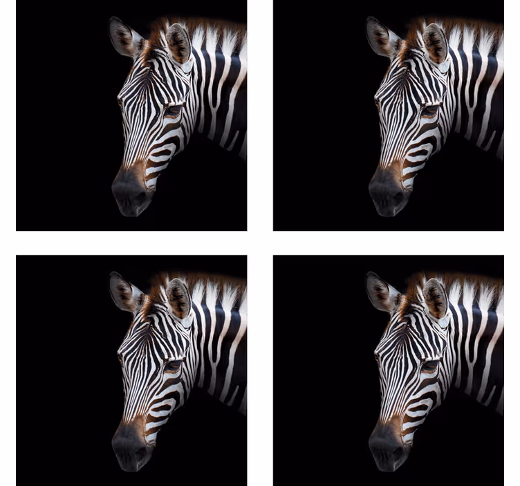 Sottobicchieri moderno illustrazione testa di zebra - TenStickers