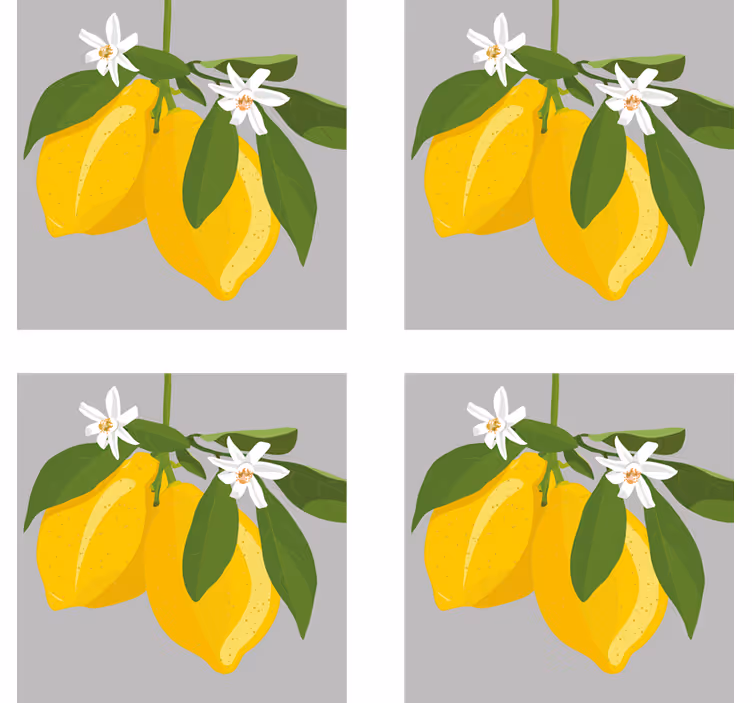 Sottobicchieri moderno limoni gialli con foglie - TenStickers