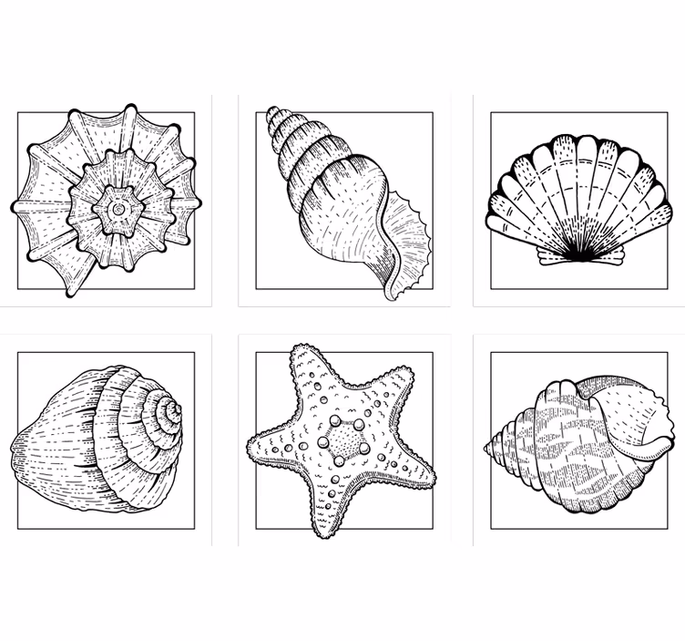 Sottobicchieri con motivi a motivi di conchiglia intricati - TenStickers