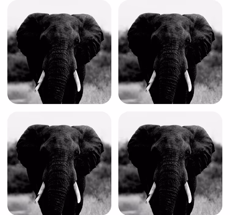 Sottobicchieri vintage ritratti di elefanti monocromatici - TenStickers