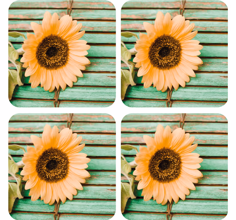 Sottobicchieri moderno girasole su sfondo verde - TenStickers
