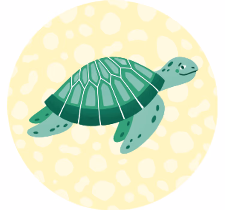 Sottobicchieri moderno illustrazione tartaruga verde gioiosa - TenStickers
