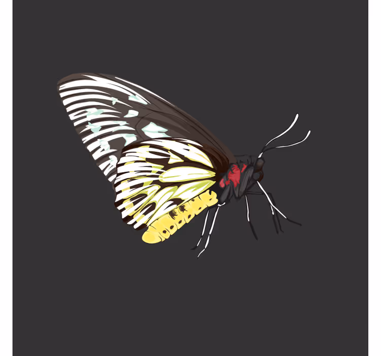 Sottobicchieri nerd arte della farfalla colorata - TenStickers