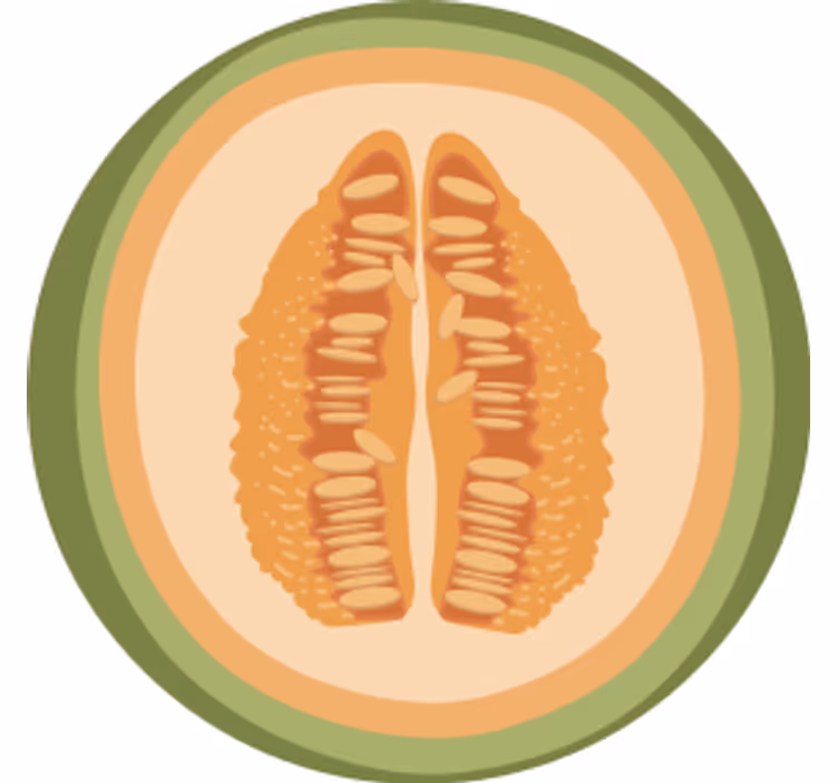 Sottobicchieri nerd motivi a fette di frutta - TenStickers