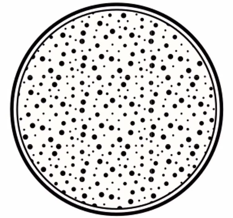 Sottobicchieri con motivi a pois neri - TenStickers