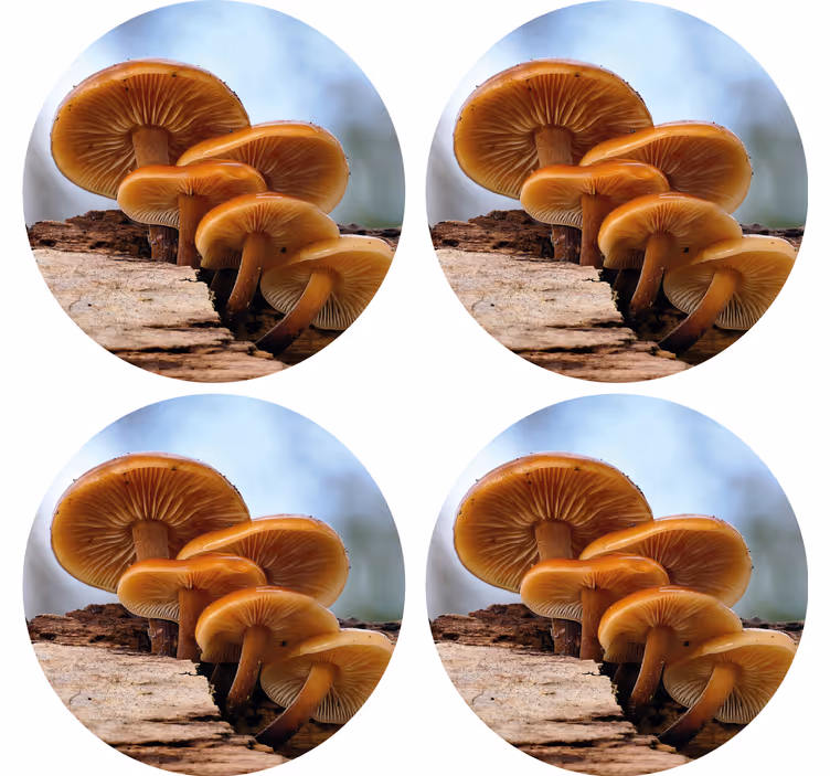Sottobicchieri moderno disposizione a grappolo di funghi - TenStickers
