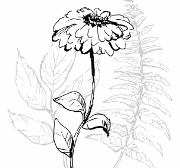 Sottobicchieri con motivi arte botanica lineare - TenStickers