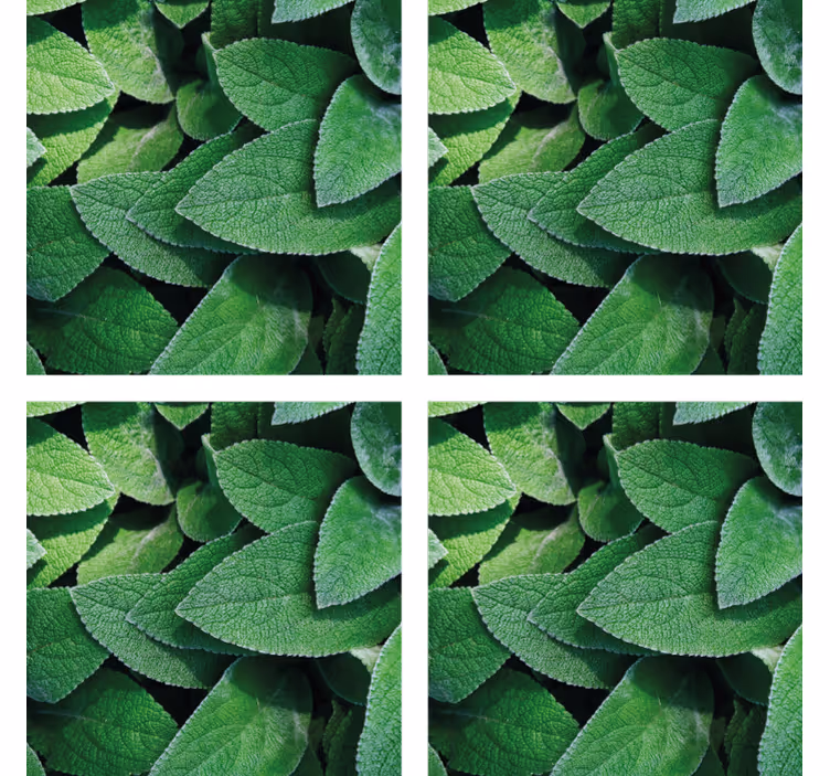 Sottobicchieri con motivi foglia verde vivace - TenStickers