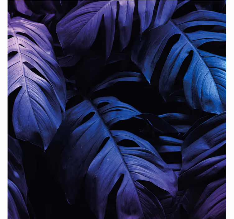 Sottobicchieri con motivi fiori di foliage verde - TenStickers