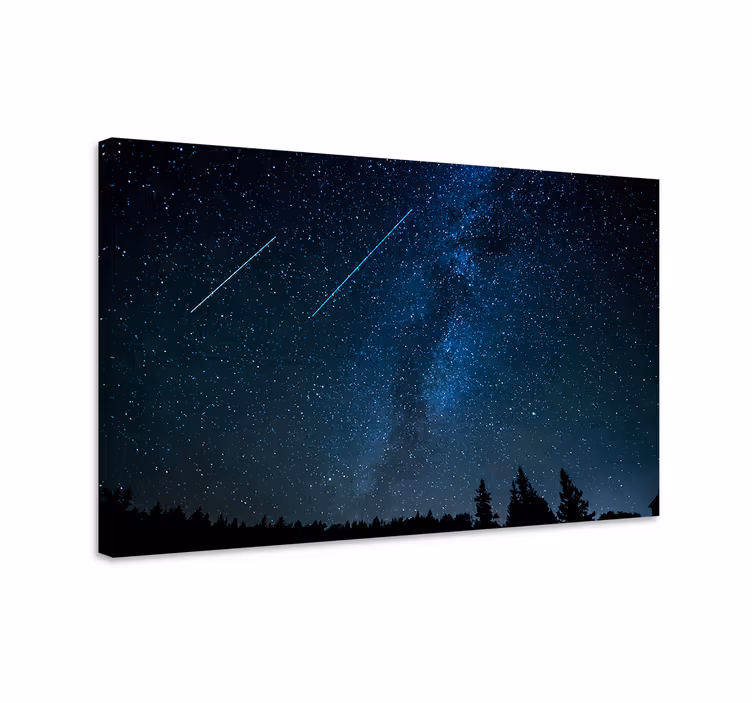 Quadro blu paesaggio di stelle cadenti bellissimo - TenStickers