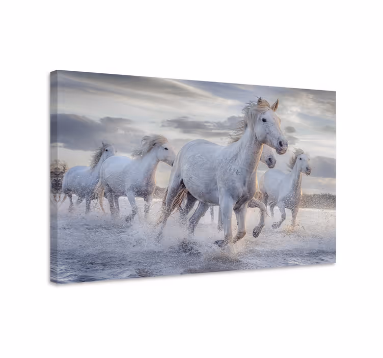 Dipinto con cavallo murale di cavalli che bevono - TenStickers