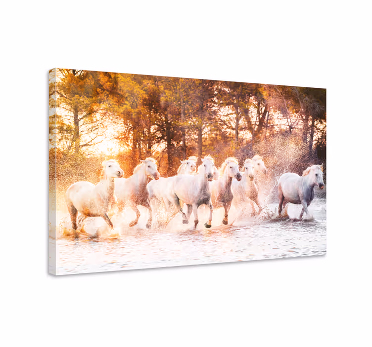 Dipinto con cavallo vista calda al tramonto - TenStickers