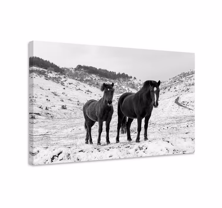 Dipinto con cavallo cavalli nella neve - TenStickers
