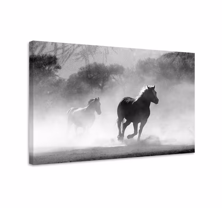 Dipinto con cavallo bianco e nero - TenStickers