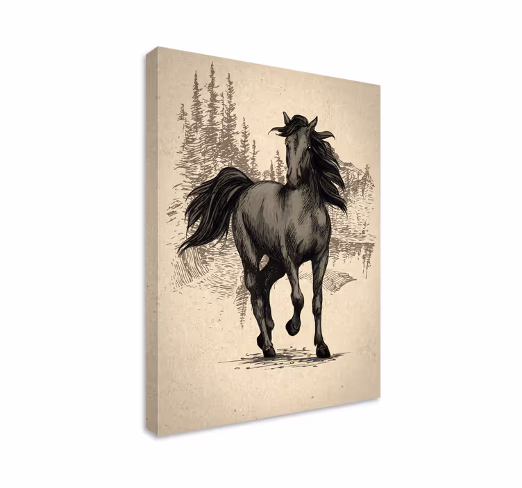 Dipinto con cavallo disegno di cavallo - TenStickers