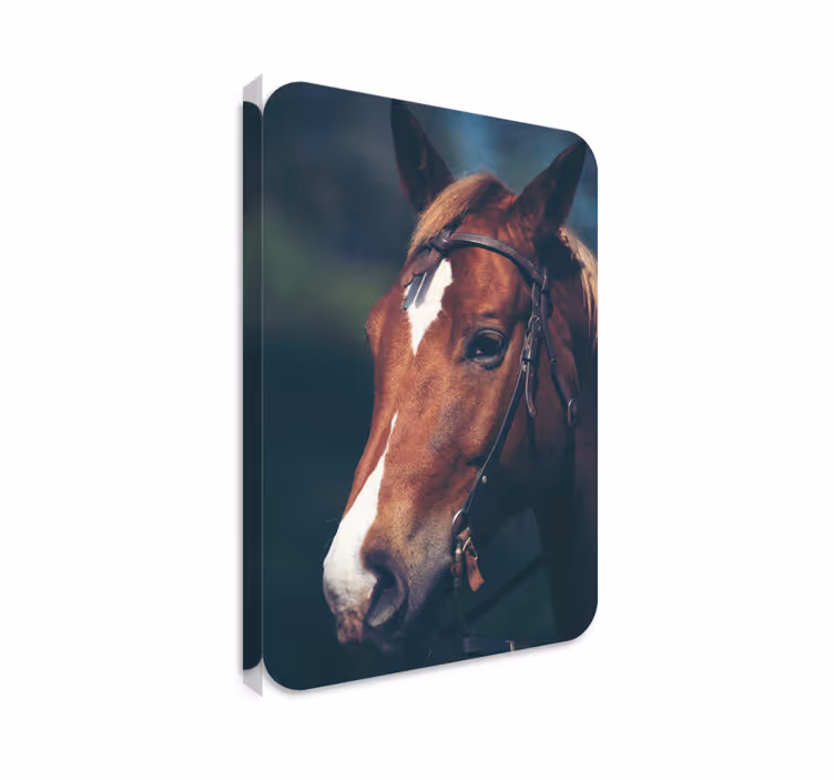 Dipinto con cavallo testa di cavallo - TenStickers