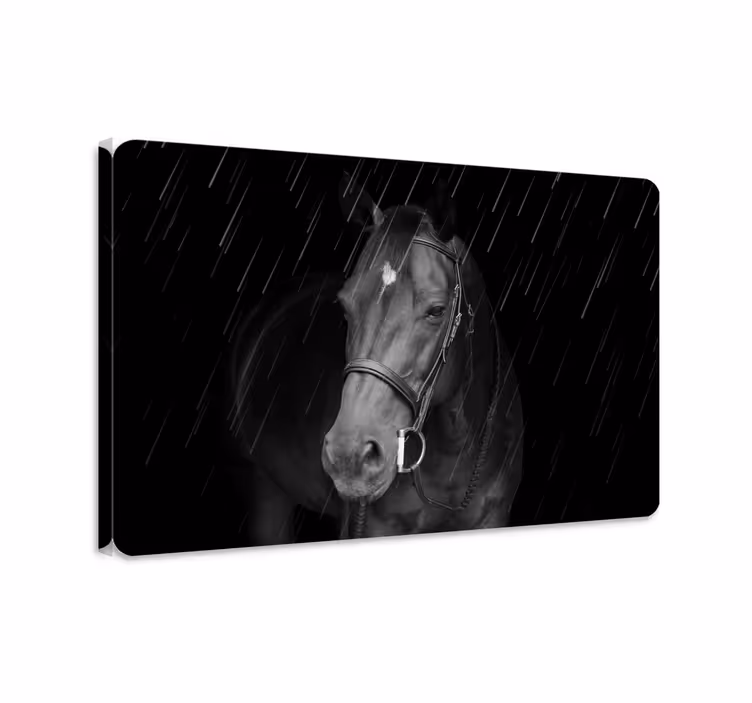 Dipinto con cavallo cavallo dignitoso sotto la pioggia - TenStickers