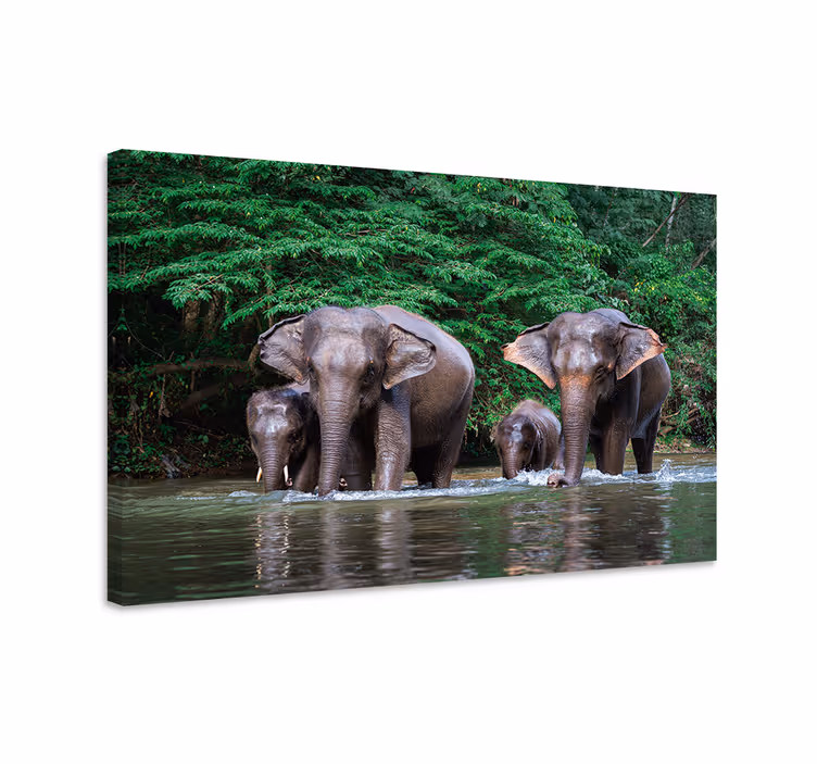 Dipinto con elefanti giungla con animali - TenStickers