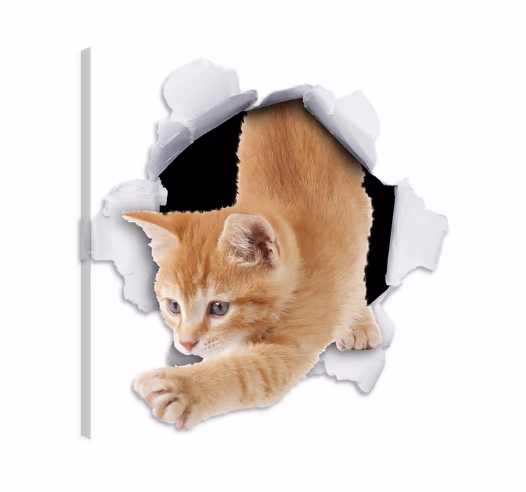 Dipinto gatto adesivo decorativo trompe-l'œil - TenStickers