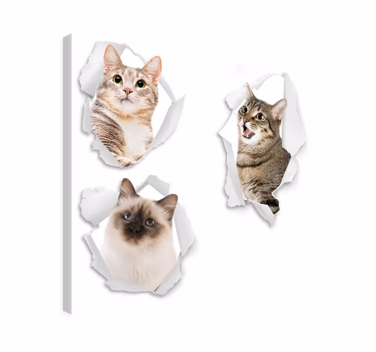 Dipinto gatto gattini trompe-l'œil - TenStickers