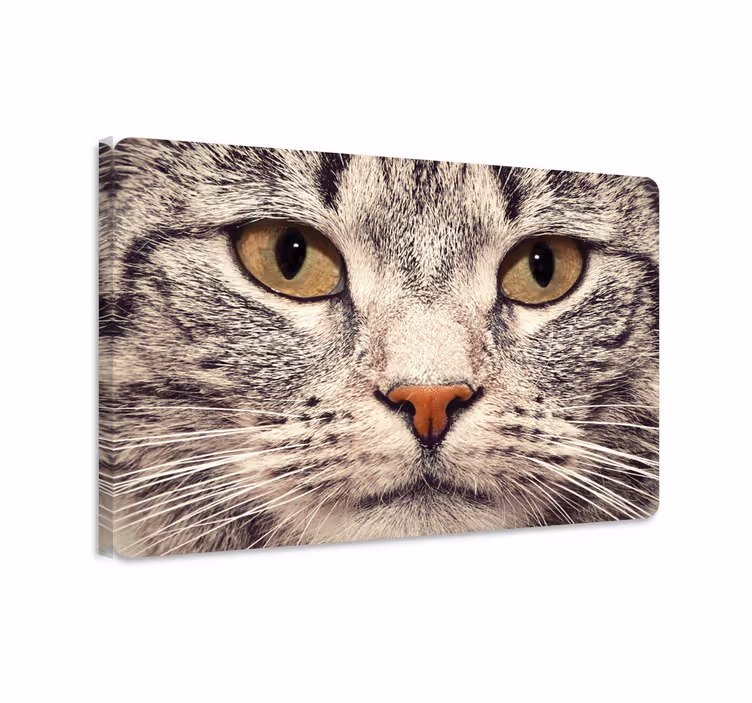 Dipinto gatto adesivo per laptop faccia di gatto - TenStickers