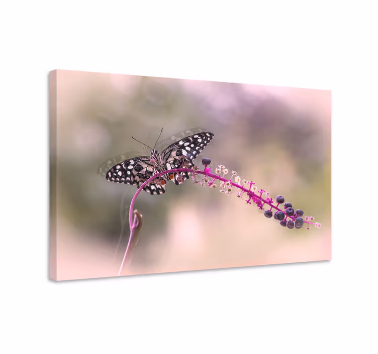 Dipinto con farfalle farfalla viola - TenStickers