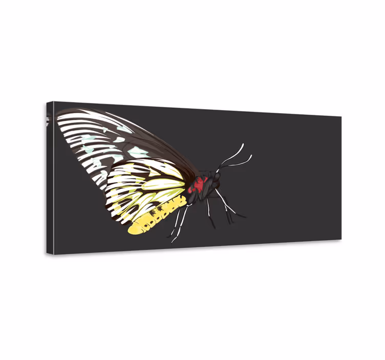 Dipinto con farfalle farfalla gialla realistica dettagliata - TenStickers