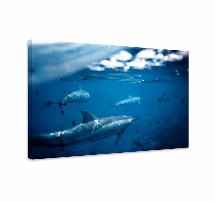 Dipinto di pesci delfini e pesci - TenStickers
