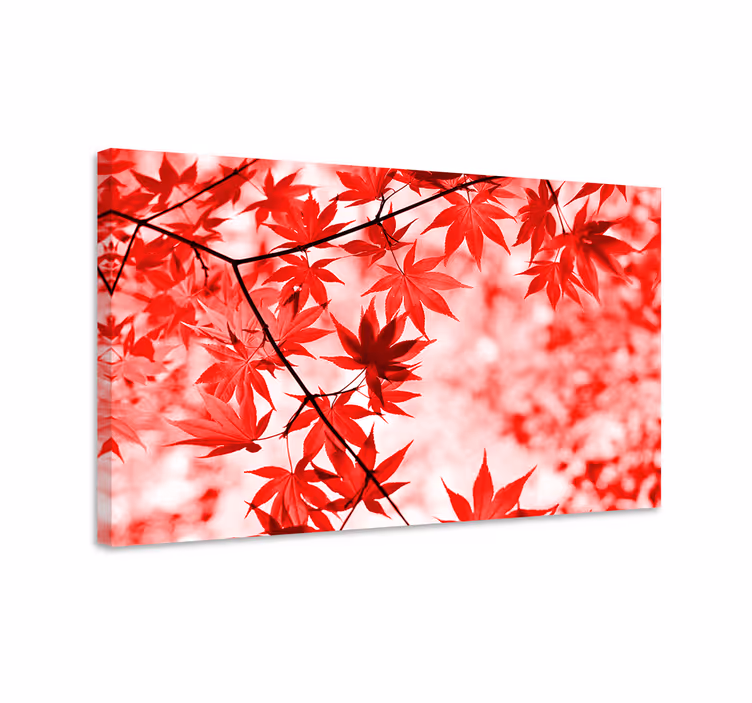 Dipinto con fiori e piante foglie di acero rosso vivo - TenStickers