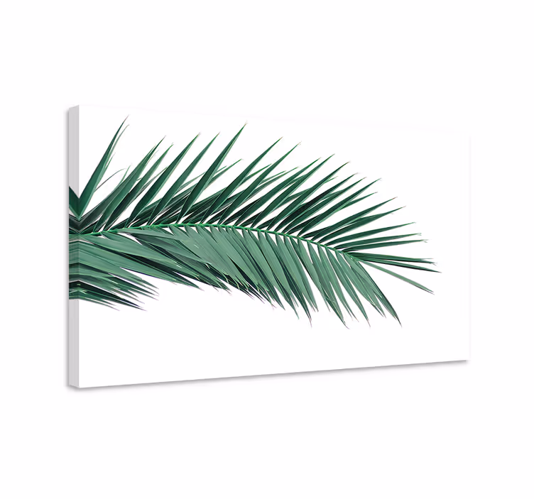 Quadro piante Foglia di pianta tropicale - TenStickers