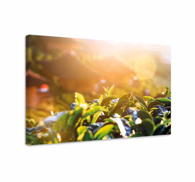 Dipinto con fiori e piante foglie di tè mattutino - TenStickers