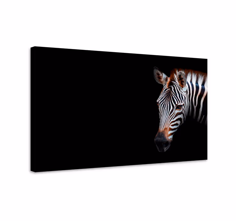 Cornice quadro con animali e insetti zebra in primo piano - TenStickers