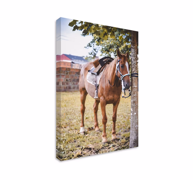 Dipinto con cavallo elegante marrone - TenStickers