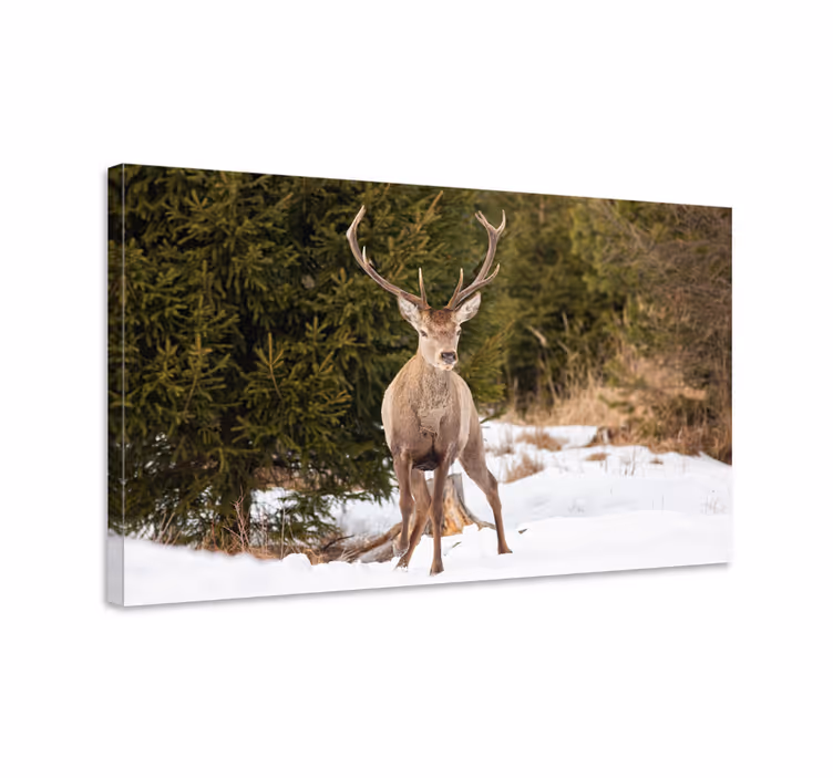 Dipinto cervo maestoso nella natura - TenStickers