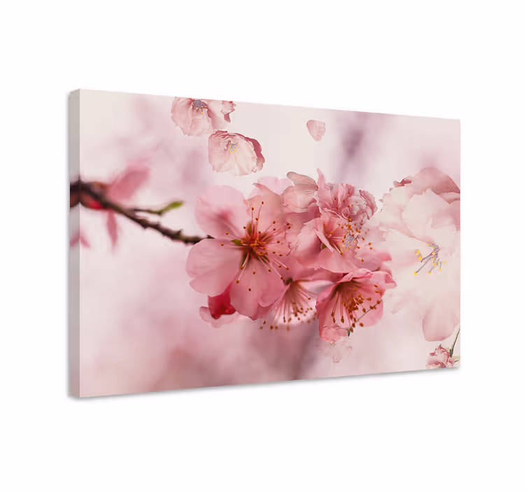 Dipinto con fiori e piante fiori di ciliegio in fiore - TenStickers