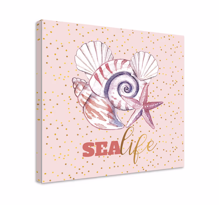 Dipinto con marinaio con conchiglia e stella marina - TenStickers